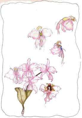 Orchid Fairy