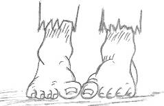 cartoon feet delineation