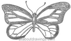 butterfly pencil drawing