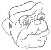 Cartoon Bulldog Drawing