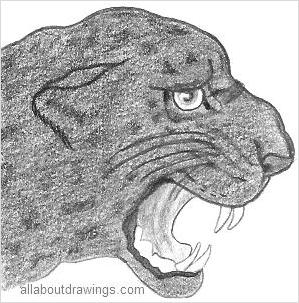 Panther Sketch Stock Illustrations – 3,319 Panther Sketch Stock  Illustrations, Vectors & Clipart - Dreamstime