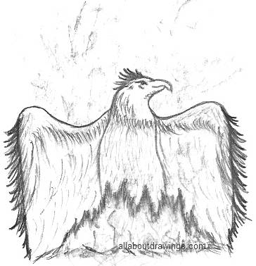 How to Draw a Phoenix with WaterSoluble Graphite Pencils