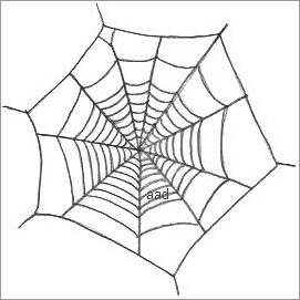spider web with spider drawing