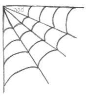 How To Draw a Simple Spider Web 