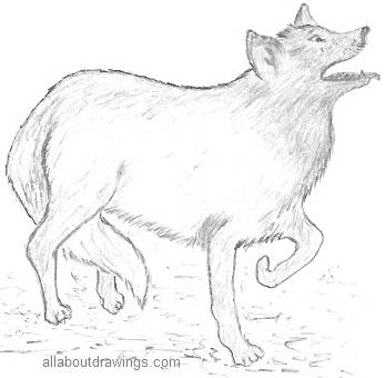 Drawings Of Wolves In Pencil