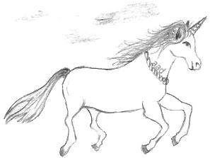Fantasy Horse Drawings
