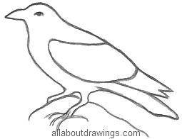 How to draw a raven  Step by step Drawing tutorials
